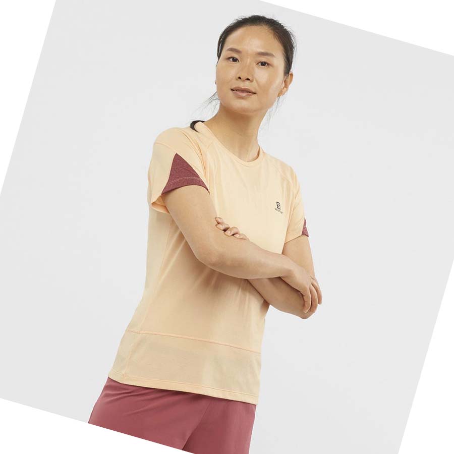 Camiseta Salomon CROSS RUN Mujer Beige | MX 2544XYU